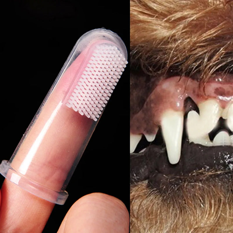 Escova de Dente para Pets